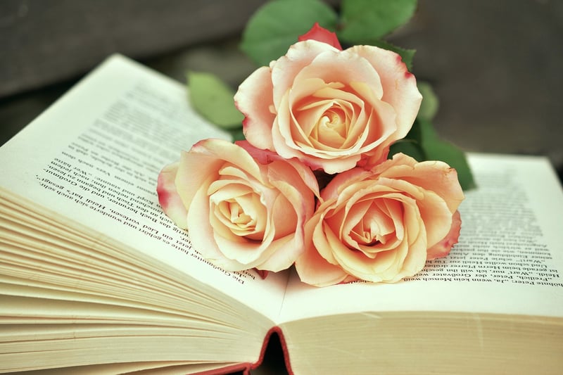 Vintage Book Planter