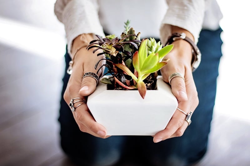 Hand-painted Plant Pots